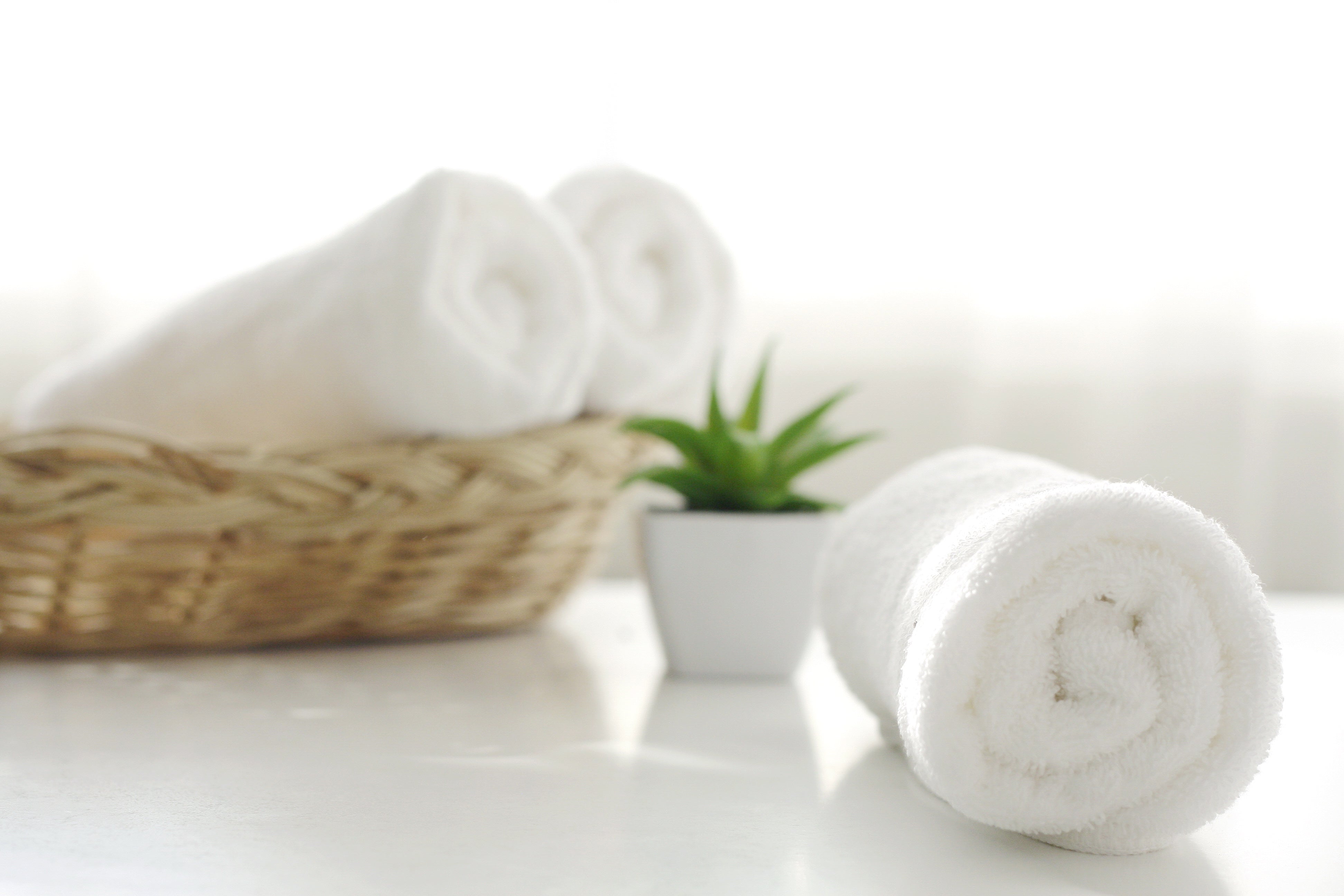 Top 10 Questions on Bamboo Kitchen Towels