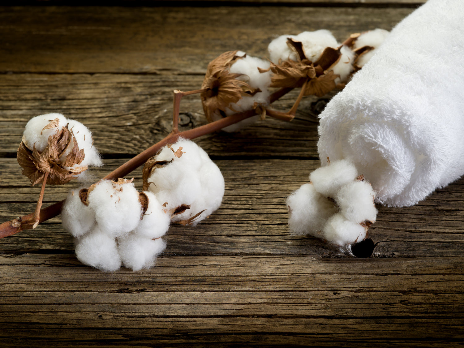 Wash towels in cold water and avoid fabric softener, which can build up on fibers and make them stiff.