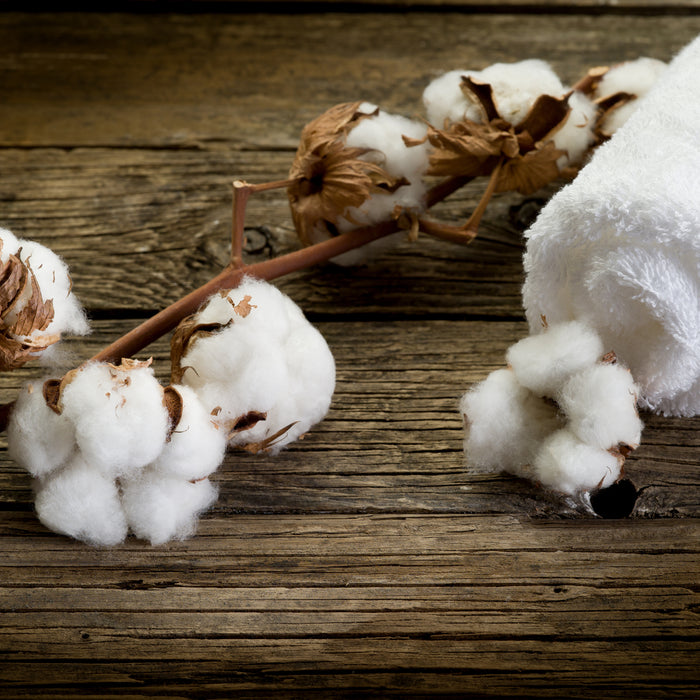 Wash towels in cold water and avoid fabric softener, which can build up on fibers and make them stiff.